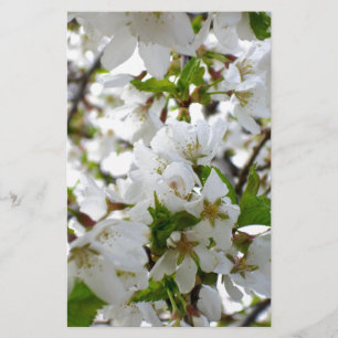 Elegant white floral blossom photo stationery