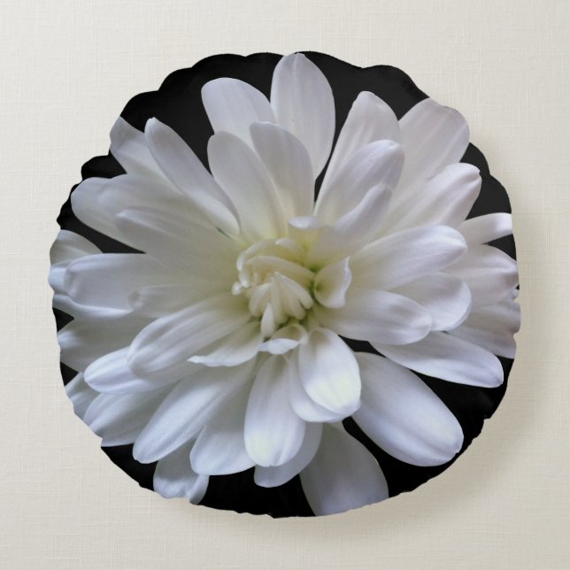 Elegant white floral flower White Daisy Round Cushion (Front)