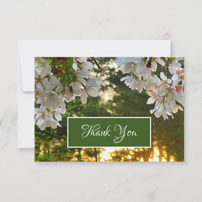 Elegant white floral tree buds sunrise  thank you card (Front)