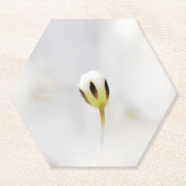 Elegant White Flower Bud Paper Coaster (Front)