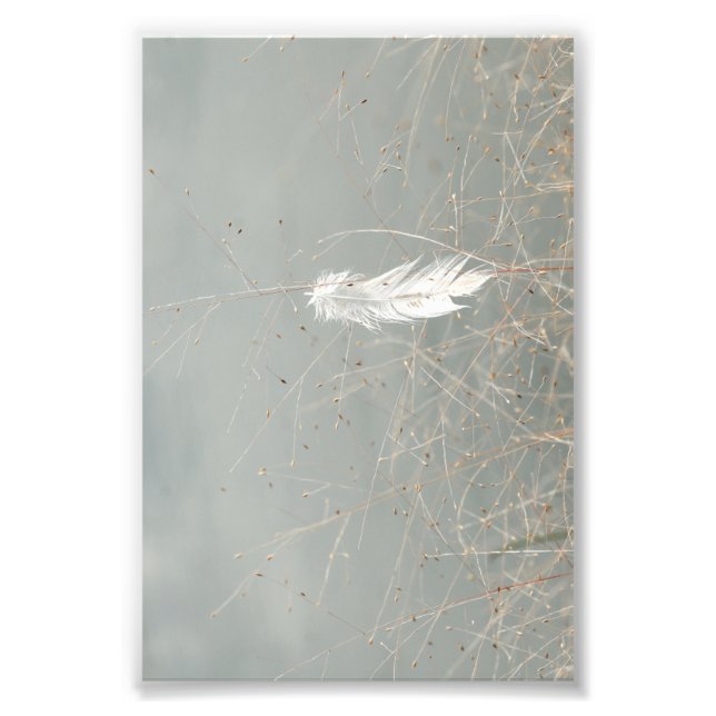 Elegant White Flower On Dusty Blue Photo Print (Front)