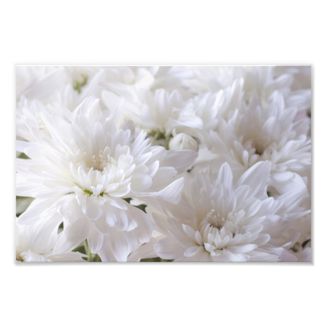 Elegant White flowers Photo Print (Front)