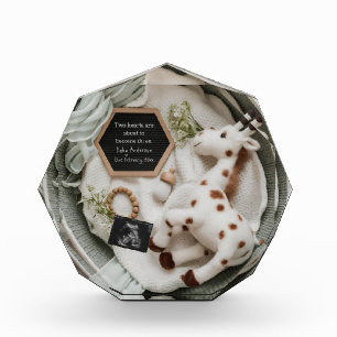 Elegant white giraffe pregnancy announcement  photo block
