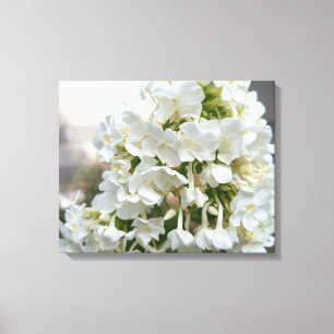 Elegant White Hydrangea Floral Canvas Wall Art B