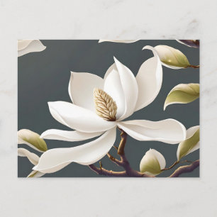 Elegant White Magnolia Flower Postcard