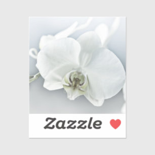 Elegant White Orchid Botanical Art
