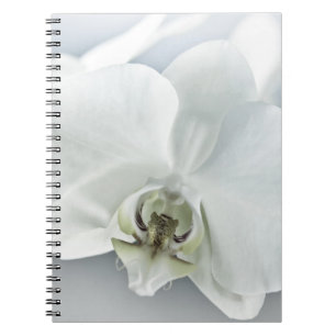 Elegant White Orchid Botanical Art Notebook