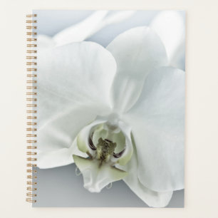 Elegant White Orchid Botanical Art Planner