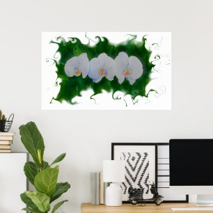 Elegant White Orchid painting tropical floral Poster