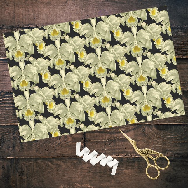Elegant White Orchid Pattern on Black Background Tissue Paper (Creator Uploaded)