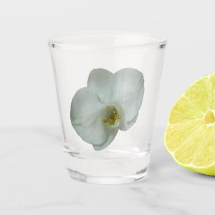 Elegant White Orchid Shot Glass