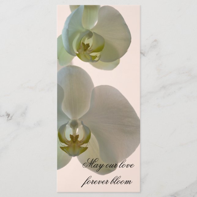 Elegant White Orchid Wedding Programme (Front)