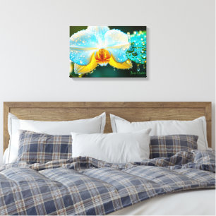 Elegant White Orchid with Water Droplets Botanical Canvas Print
