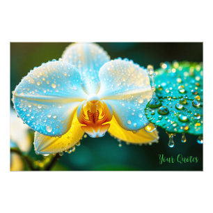 Elegant White Orchid with Water Droplets Botanical Photo Print