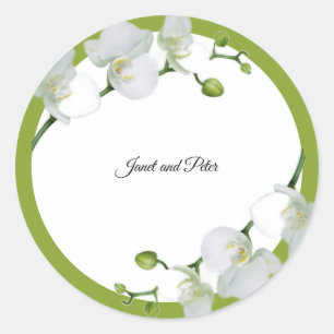 Elegant white orchids  on green background classic round sticker