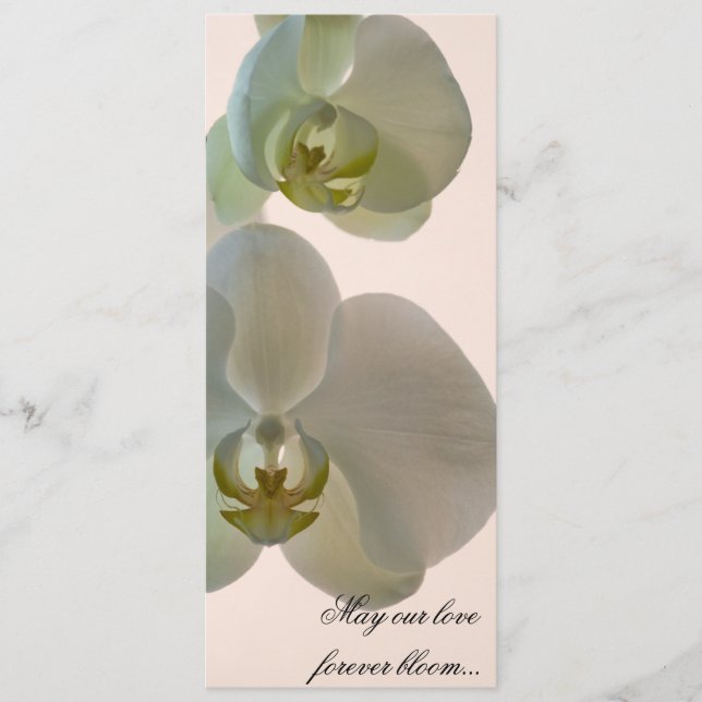 Elegant White Orchids on Pink Wedding Programme (Front)