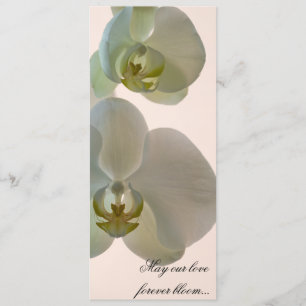 Elegant White Orchids on Pink Wedding Programme