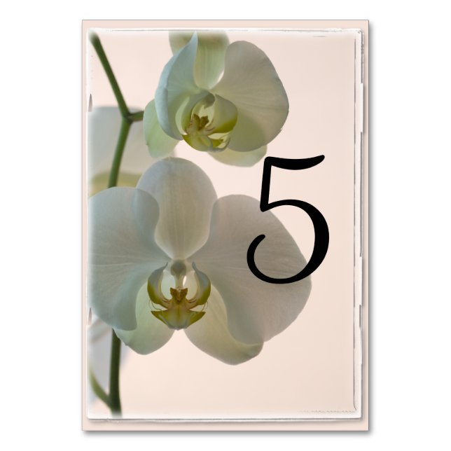 Elegant White Orchids Table Numbers (Front)