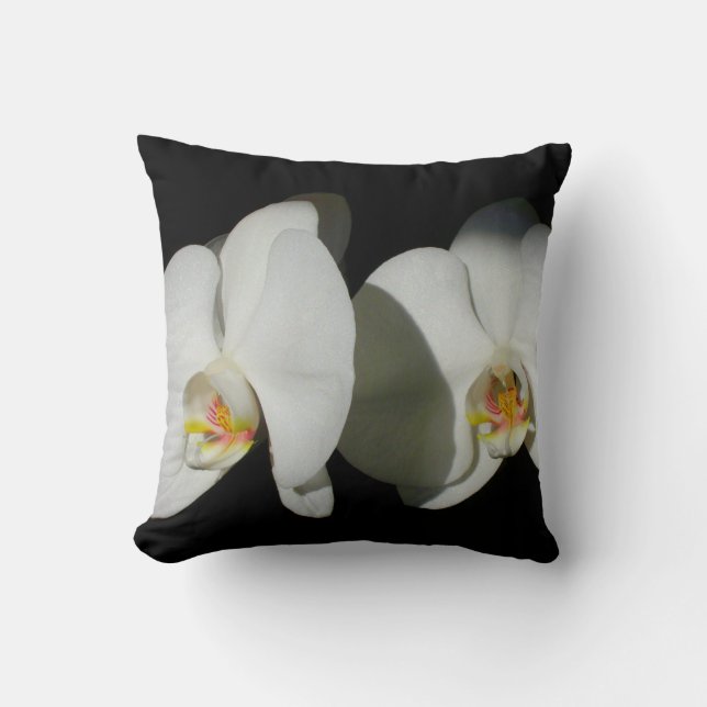Elegant White Orchids, tropical floral photo Cushion (Front)