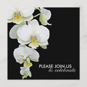 Elegant White Orchids Wedding/Any-Occasion Invites