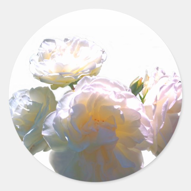 Elegant white peach orange blush roses classic round sticker (Front)