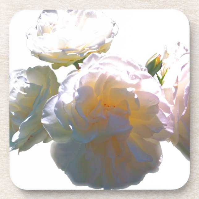 Elegant white peach orange blush roses coaster (Front)