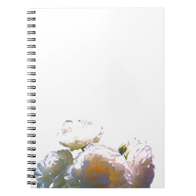 Elegant white peach orange blush roses notebook (Front)