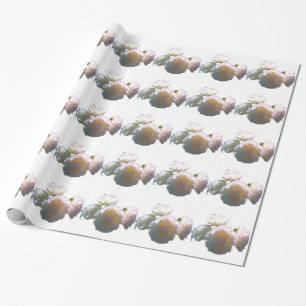 Elegant white peach orange blush roses wrapping paper
