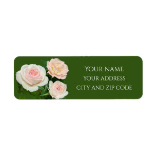 Elegant white peachy pink roses  