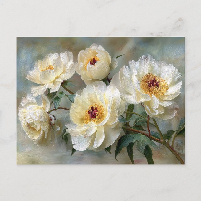 Elegant White Peonies in Bloom Postcard (Front)