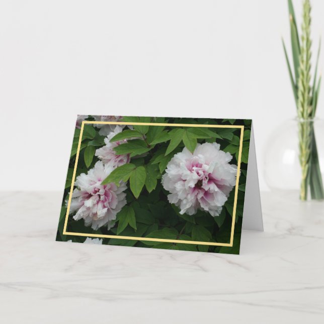 Elegant White Peonies Photo Golden Frame Sympathy Card (Front)