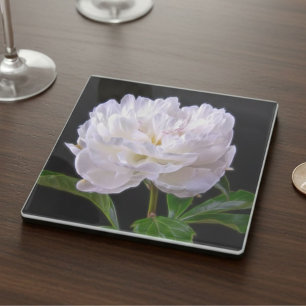Elegant White Peony A Flower Like No Other Glass Coaster