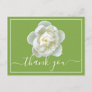 Elegant White Peony Botanical Colourful Thank You Postcard