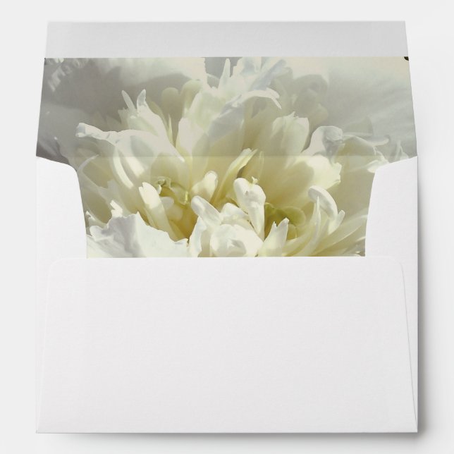 Elegant white peony floral white flower photo envelope (Back (Bottom))