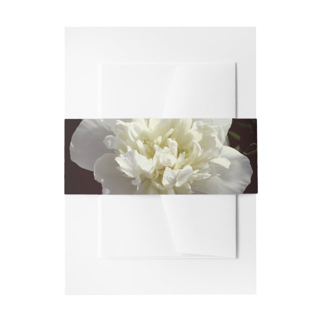 Elegant white peony floral white flower photo invitation belly band (Front Example)