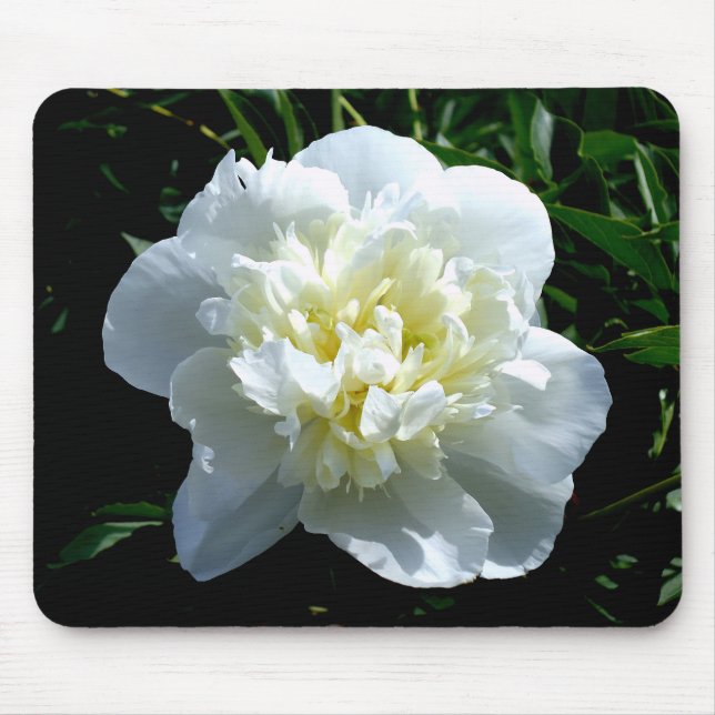 Elegant white peony floral white flower photo mouse mat (Front)