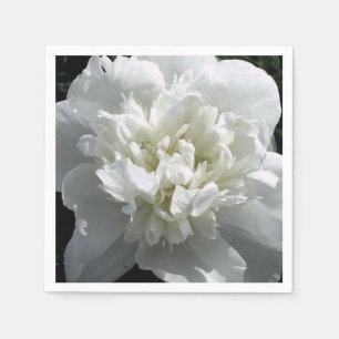 Elegant white peony floral white flower photo napkin