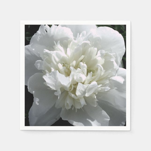 Elegant white peony floral white flower photo napkin (Front)