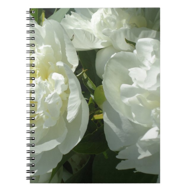 Elegant white peony floral white flower photo notebook (Front)