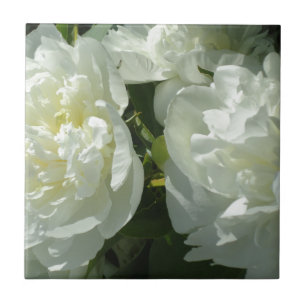 Elegant white peony floral white flower photo tile