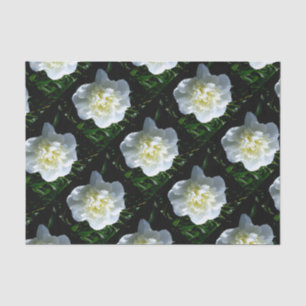 Elegant white peony floral white flower photo tissue paper