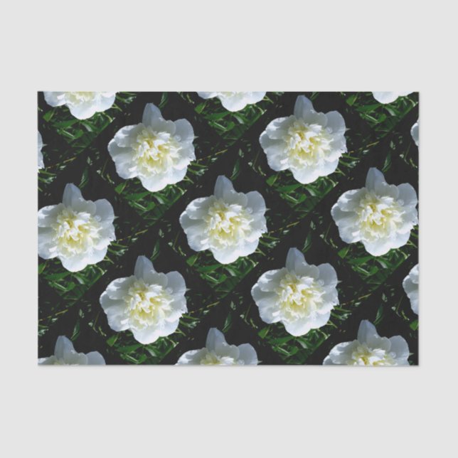 Elegant white peony floral white flower photo tissue paper (Front)