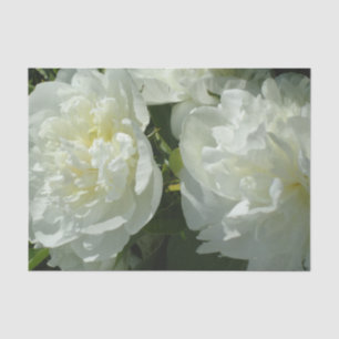 Elegant white peony floral white flower photo tissue paper