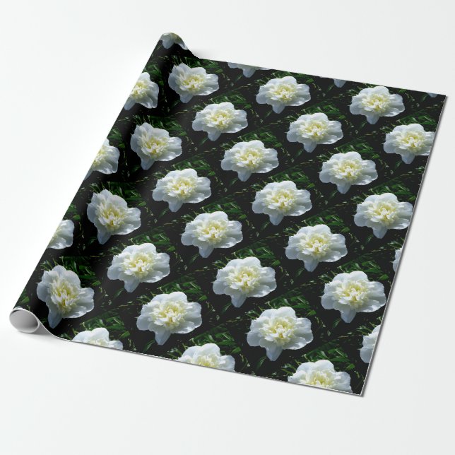 Elegant white peony floral white flower photo wrapping paper (Unrolled)