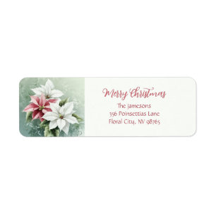 Elegant White Pink Christmas Poinsettias