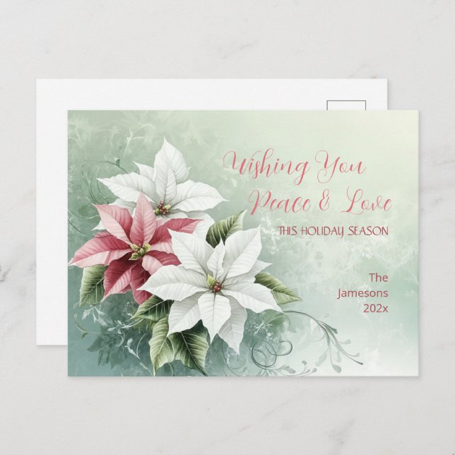 Elegant White Pink Christmas Poinsettias  Holiday Postcard (Front/Back)