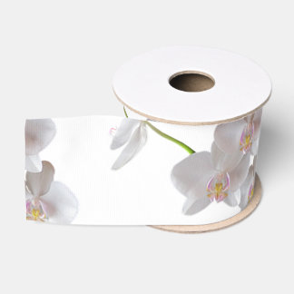 Elegant White Pink Orchids on Any Colour Grosgrain Ribbon