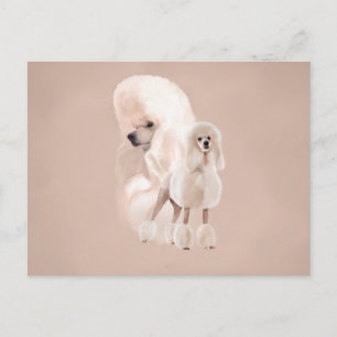 Elegant White Poodle Pastel Collage Postcard