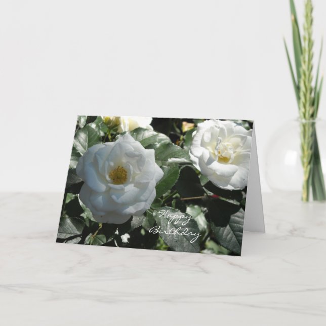 Elegant White Rose Birthday Card (Front)
