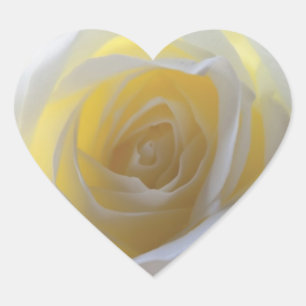 Elegant White Rose Heart Sticker